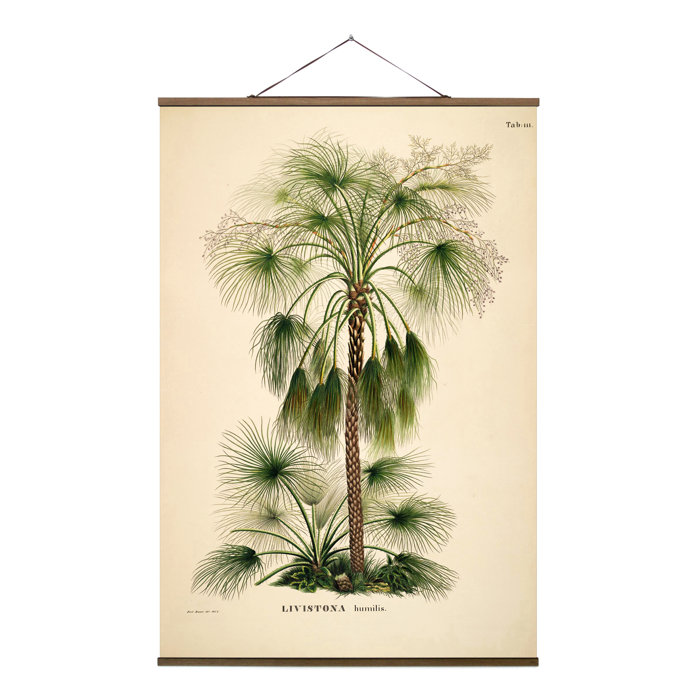 Sansibar Home Stoffbild Livistonia | Wayfair.de